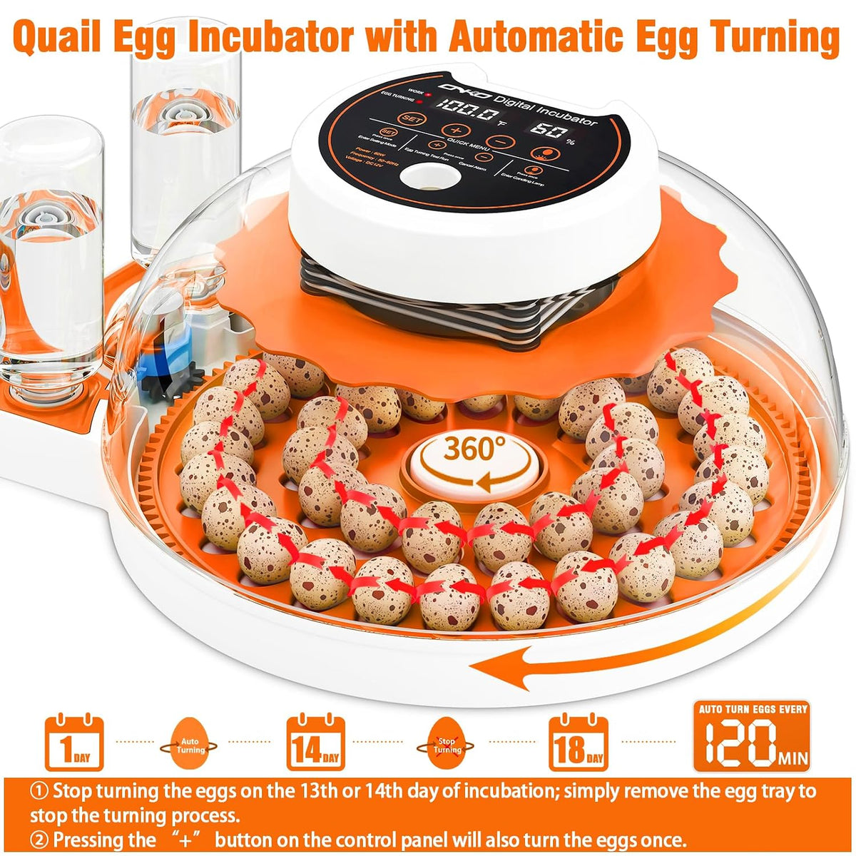 Quail Egg Incubator with Automatic Turner and Humidity Control