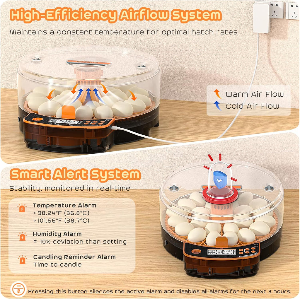 Automatic Chicken Egg Incubator, Egg Incubator 24 Eggs