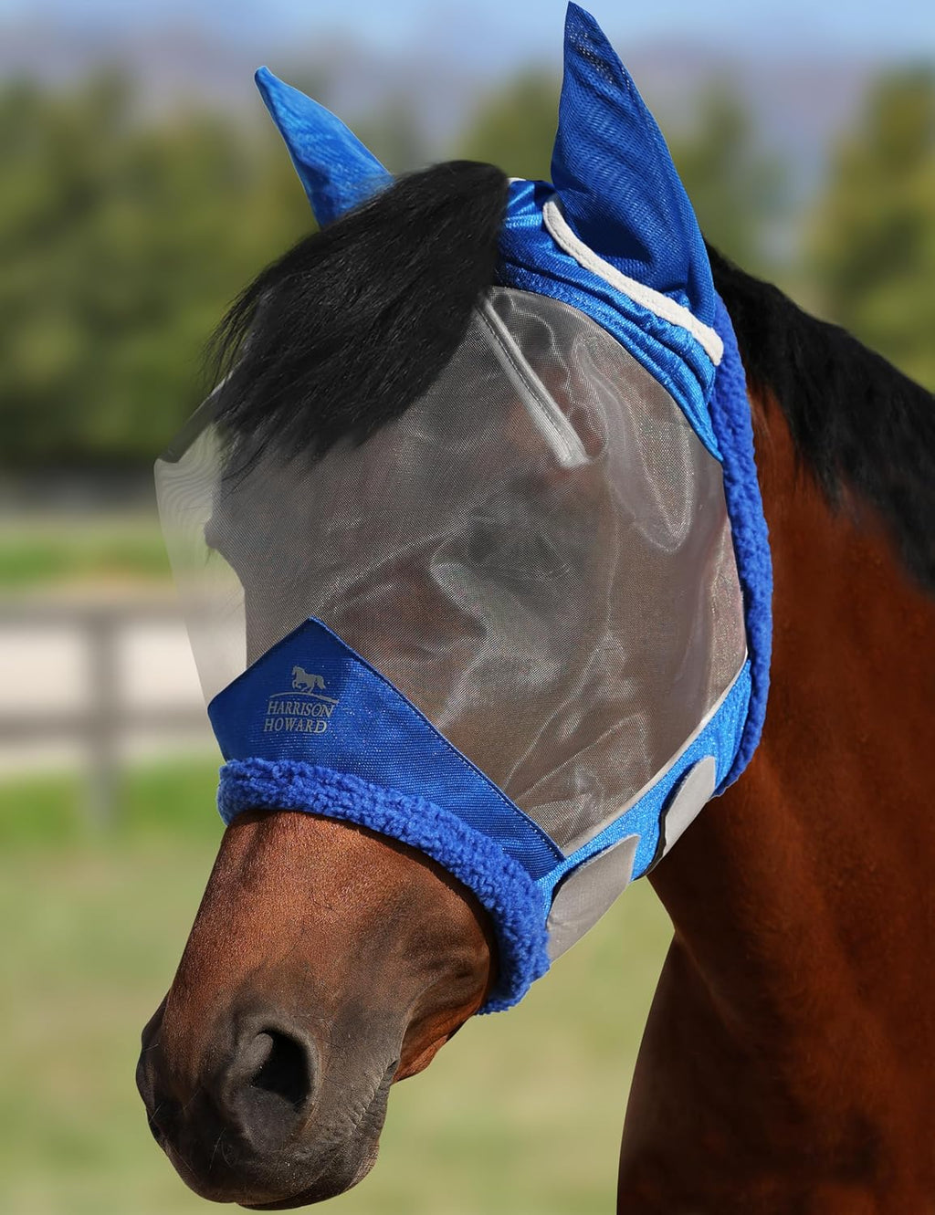 CareMaster Horse Fly Mask UV Protective Fine Mesh with Extra Wool Soft Touch on Skin Champion Blue-Silver L