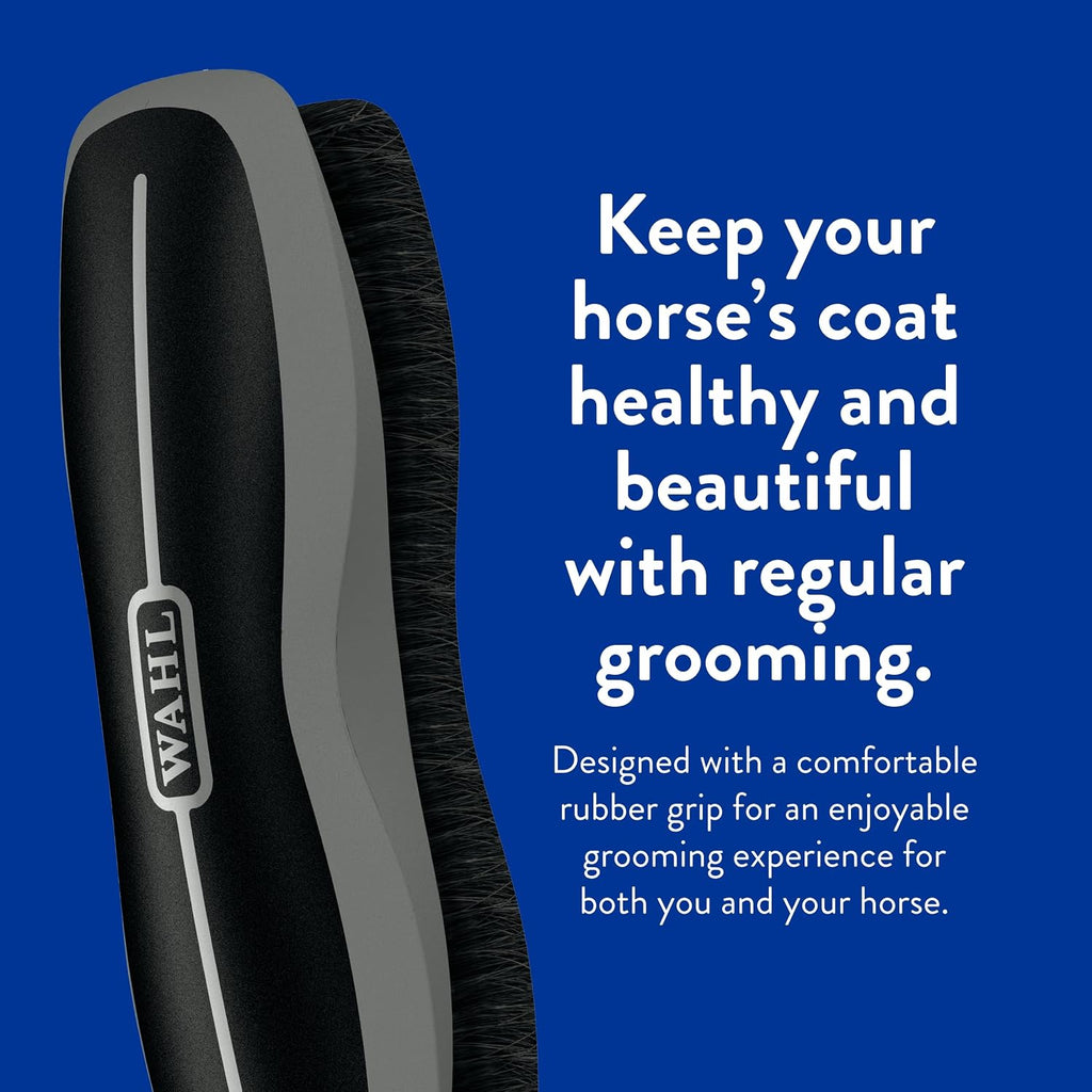 Professional Animal Equine Stiff Body Horse Brush, 858705, Black