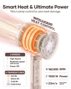 Hair Dryer, High-Speed Ionic Blow Dryer with Essential Oil & Diffuser
