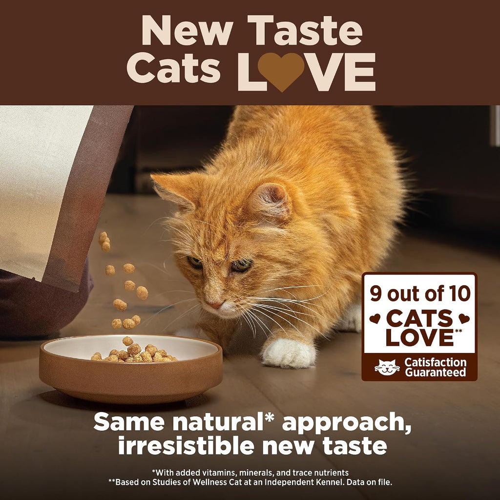 CORE+ Adult Dry Cat Food for Indoor Cats, Natural, Grain Free Kibble, Chicken, Turkey and Chicken Meal Recipe, 5 lb Bag