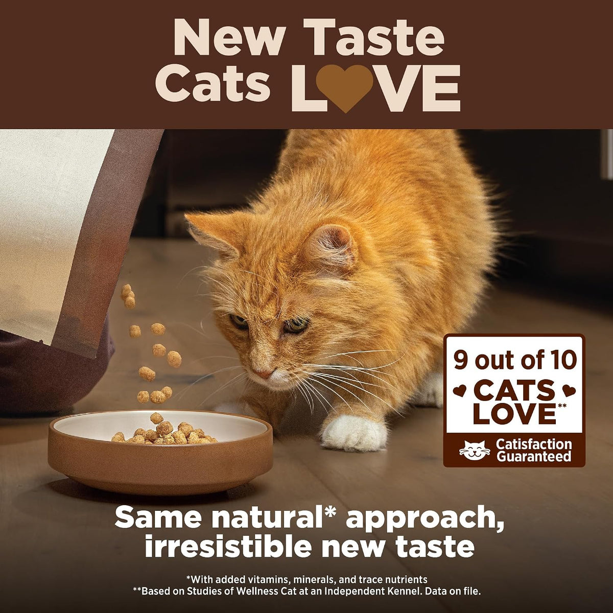 CORE+ Adult Dry Cat Food for Indoor Cats, Natural, Grain Free Kibble, Chicken, Turkey and Chicken Meal Recipe, 5 lb Bag