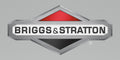 Briggs & Stratton OEM 555648 Valve-Float Needle