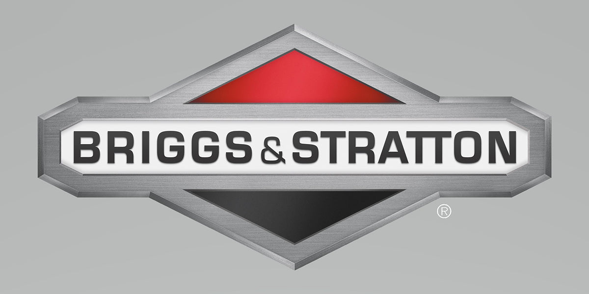 Briggs & Stratton OEM 555648 Valve-Float Needle