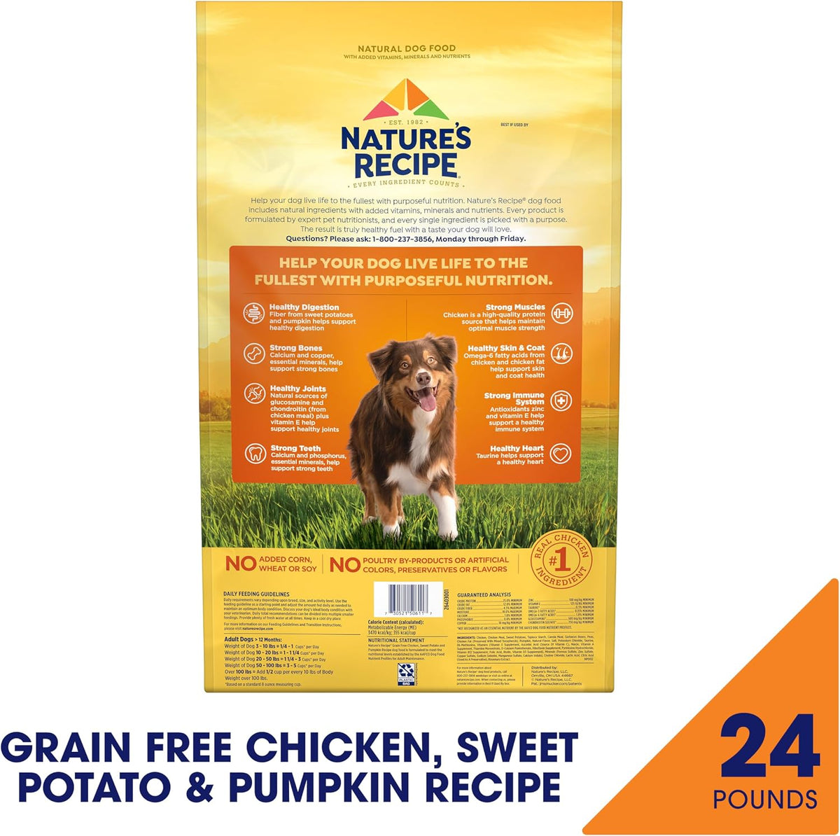 Grain Free Chicken Dry Dog Food, 24 lb. Bag