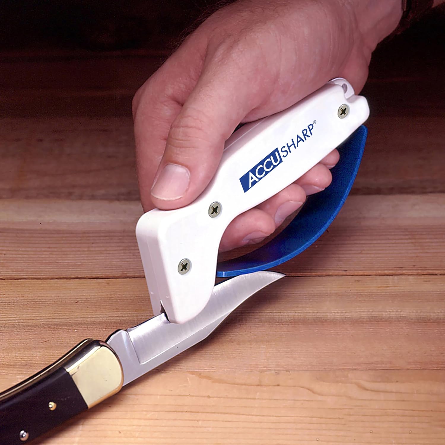 Knife Sharpener, Ergonomic Comfortable Handle, Compact & Easy to Use, Restore and Hone Straight & Serrated Knives, White