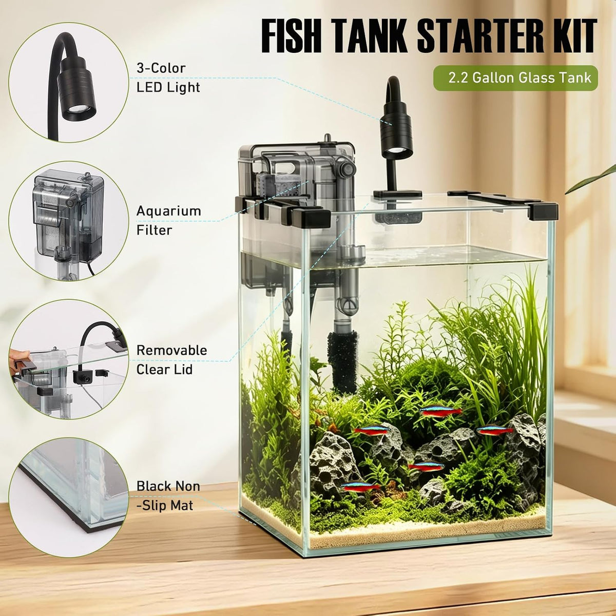 2.2 Gallon Small Glass Fish Tank Kit