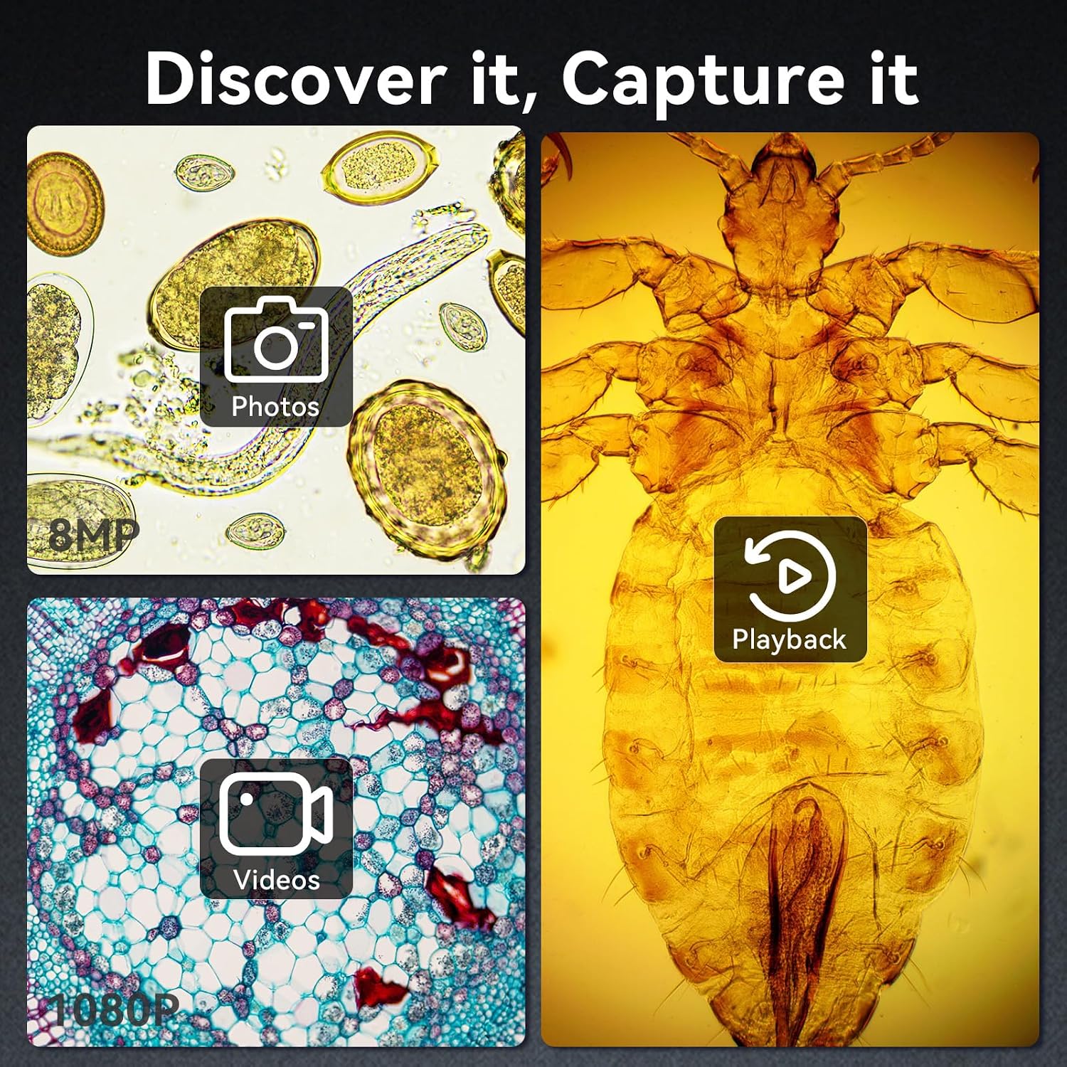 DM301 Pro Microscope for Kids Adults Students, 7" Screen Science Kit | TV/PC View, Camera & Video, Wireless APP