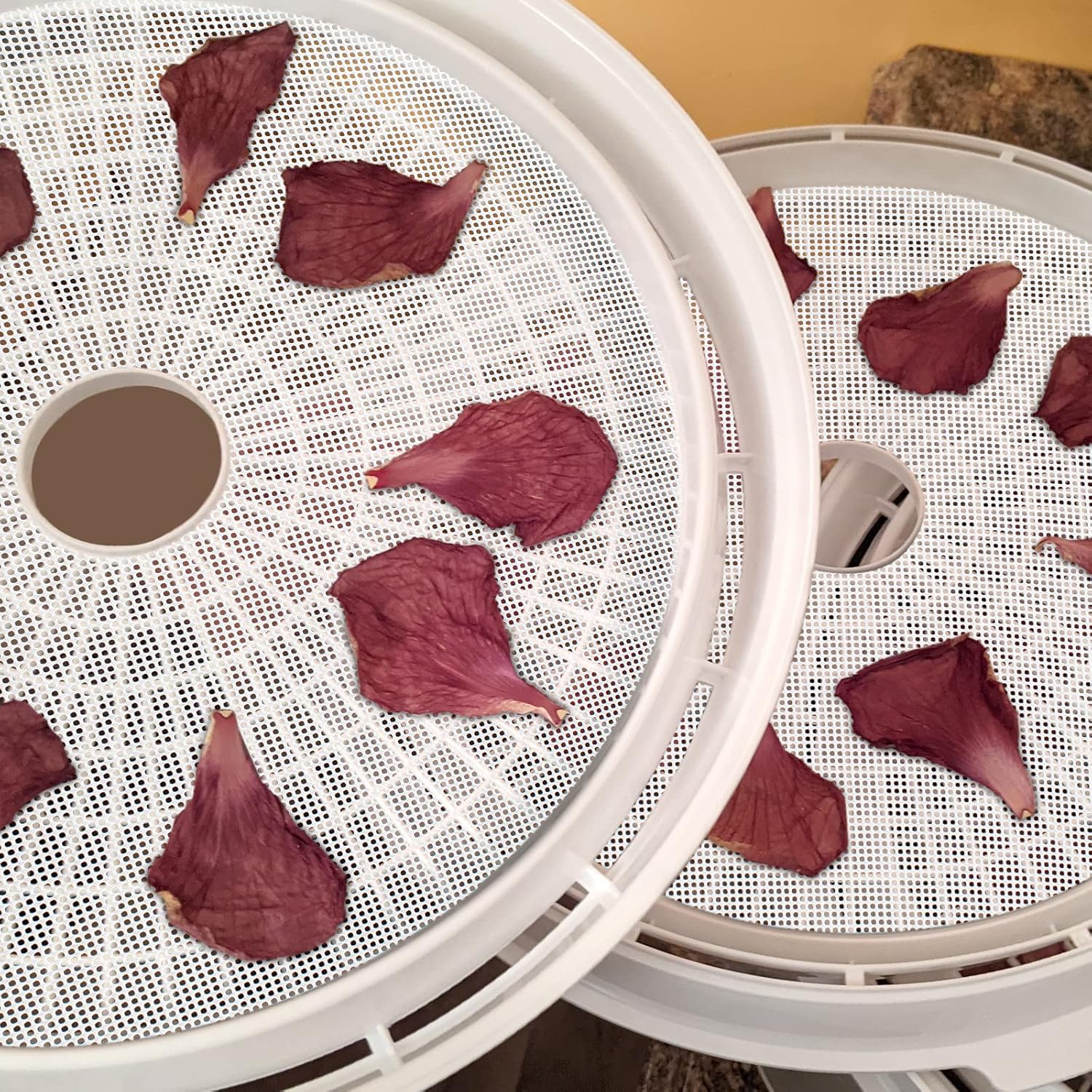 (8 Pack) Round Silicone Dehydrator Sheets, Dostk Premium Non Stick Silicone Mesh for Fruit Dehydrator, Tray Liner