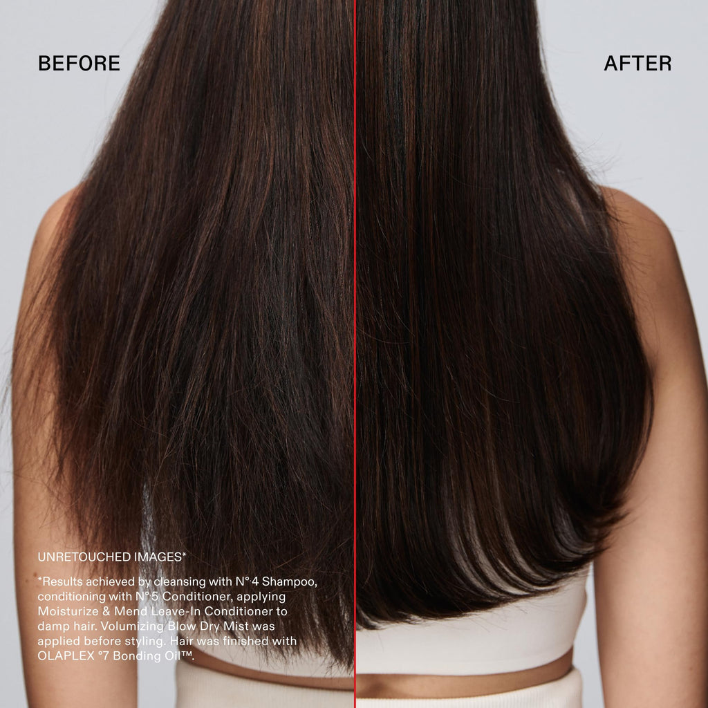 N°.5 Leave-In Conditioner | Moisturizes & Mends Split End, 100 mL