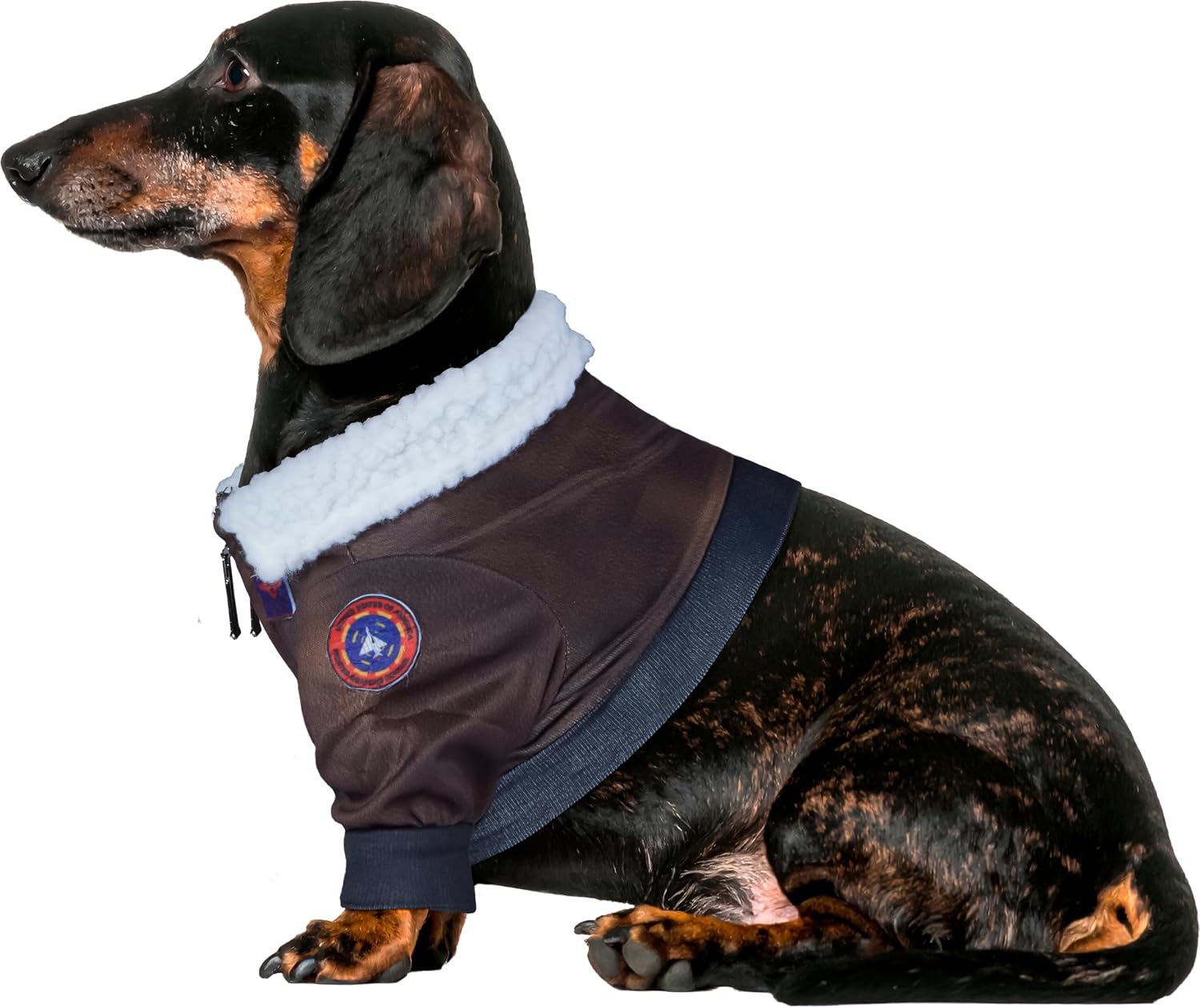 Top Gun: Maverick Pet Costume for For Dogs or Cats by Rubies, Large