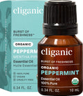 Organic Peppermint Essential Oil, 100% Pure Natural Undiluted, for Aromatherapy | Non-GMO Verified