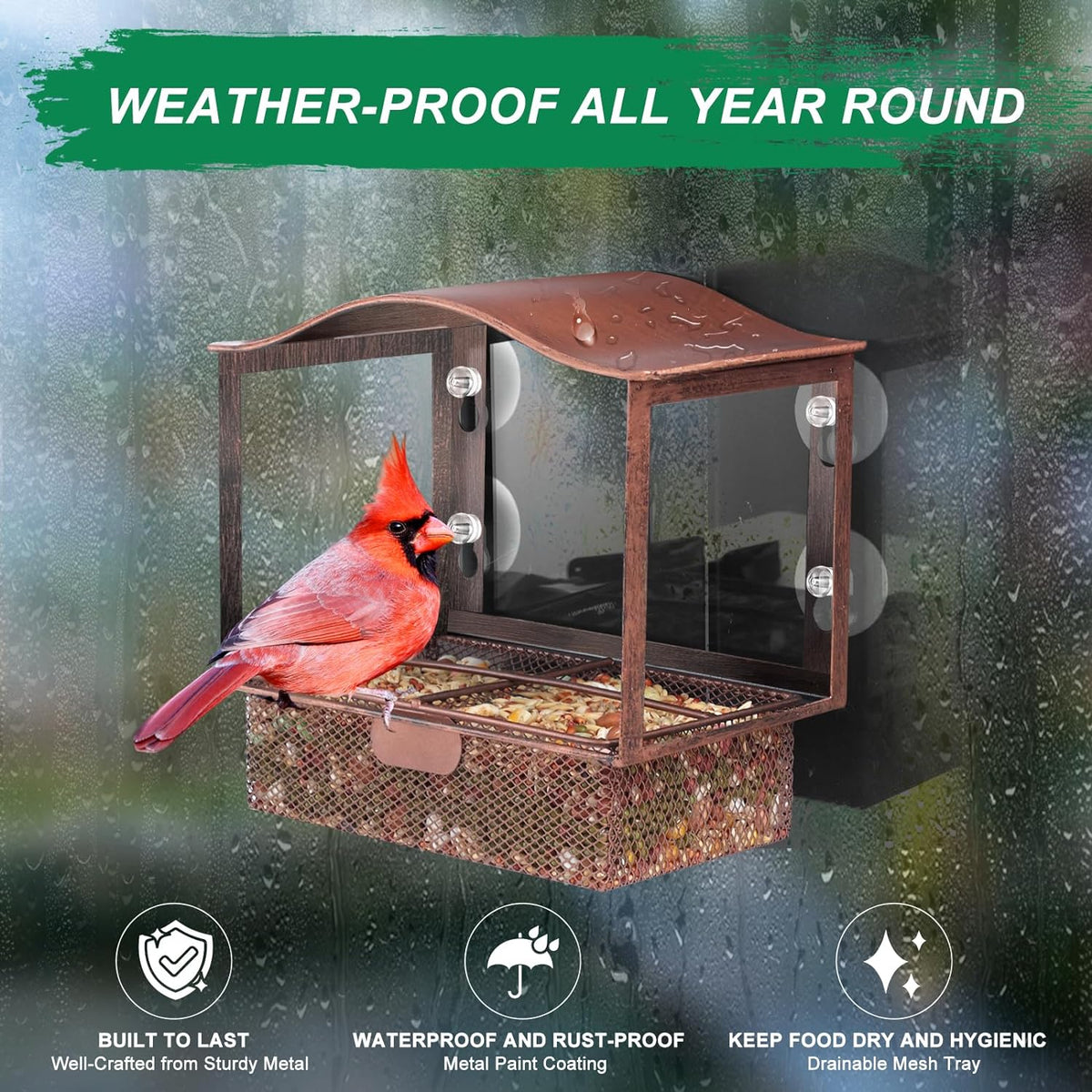 Window Bird Feeder with Strong Suction Cups
