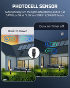 DEWENWILS 200W Low Voltage Transformer with Photocell Sensor & Timer