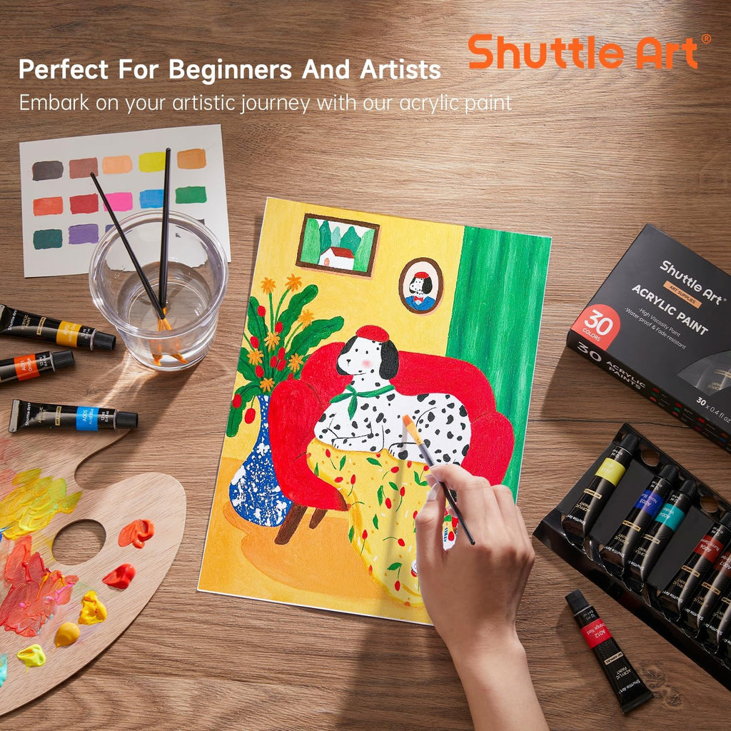 Acrylic Paint Set, 30 x12ml Tubes Artist Quality Non Toxic Rich Pigments Colors Great for Kids Adults Professional