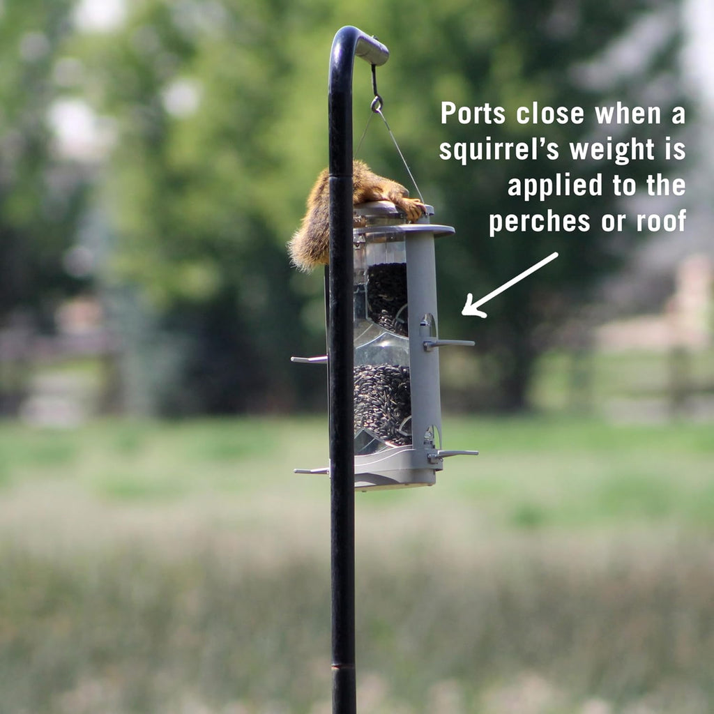 X-1 Squirrel-Proof Bird Feeder with 4.2-Pound Bird Seed Capacity and Four Feeding Ports