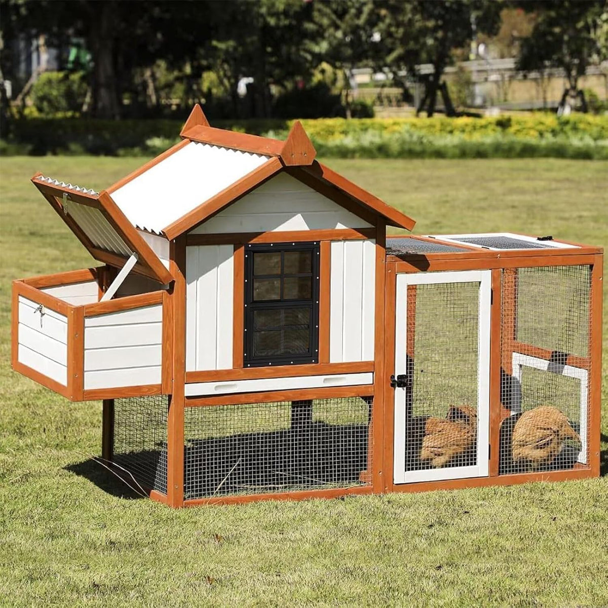 12" x 18" 2 Pack Shed Windows, Black