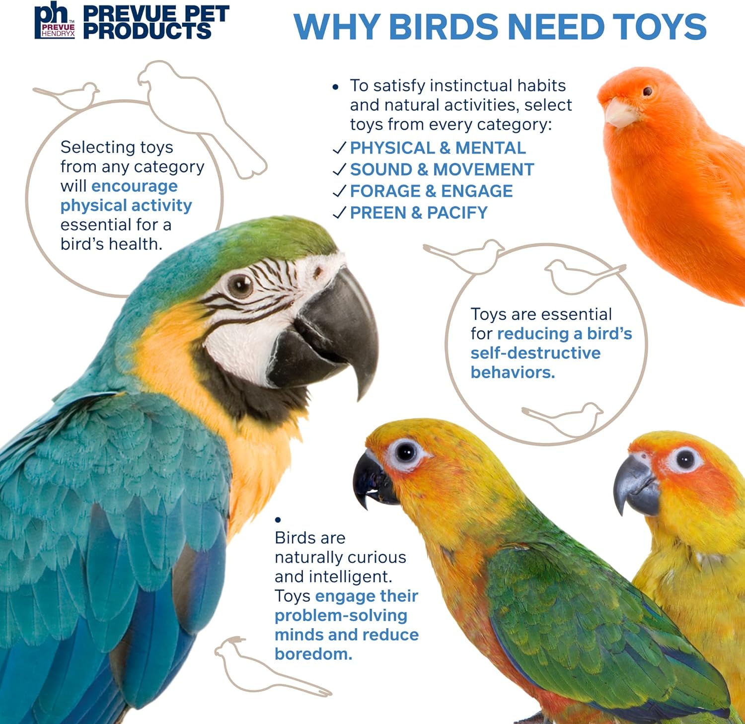 Naturals Double Coconut Walk - Small Animal & Bird Toy, 100% Natural Coconut Hideout, Climbing Bridge & Tunnel for