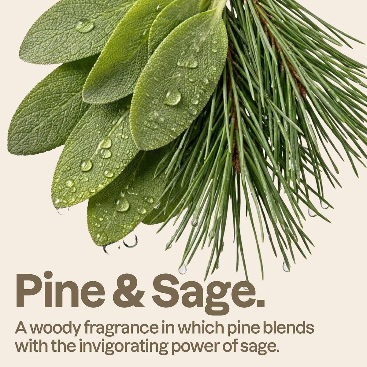 ATTITUDE Hand Soap, EWG Verified, Pine & Sage, 16 oz