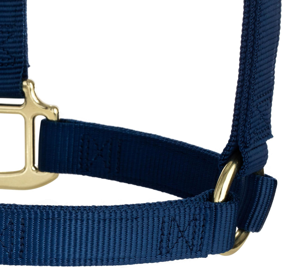 Weaver Leather Supply Original Non-Adjustable Nylon Horse Halter, Average, Navy