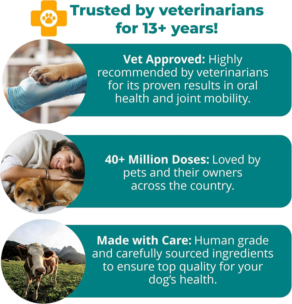 WorksSoWell Dual Action Hip and Joint Supplement for Dogs & Cats - for Large & Small Breed - Great for Oral