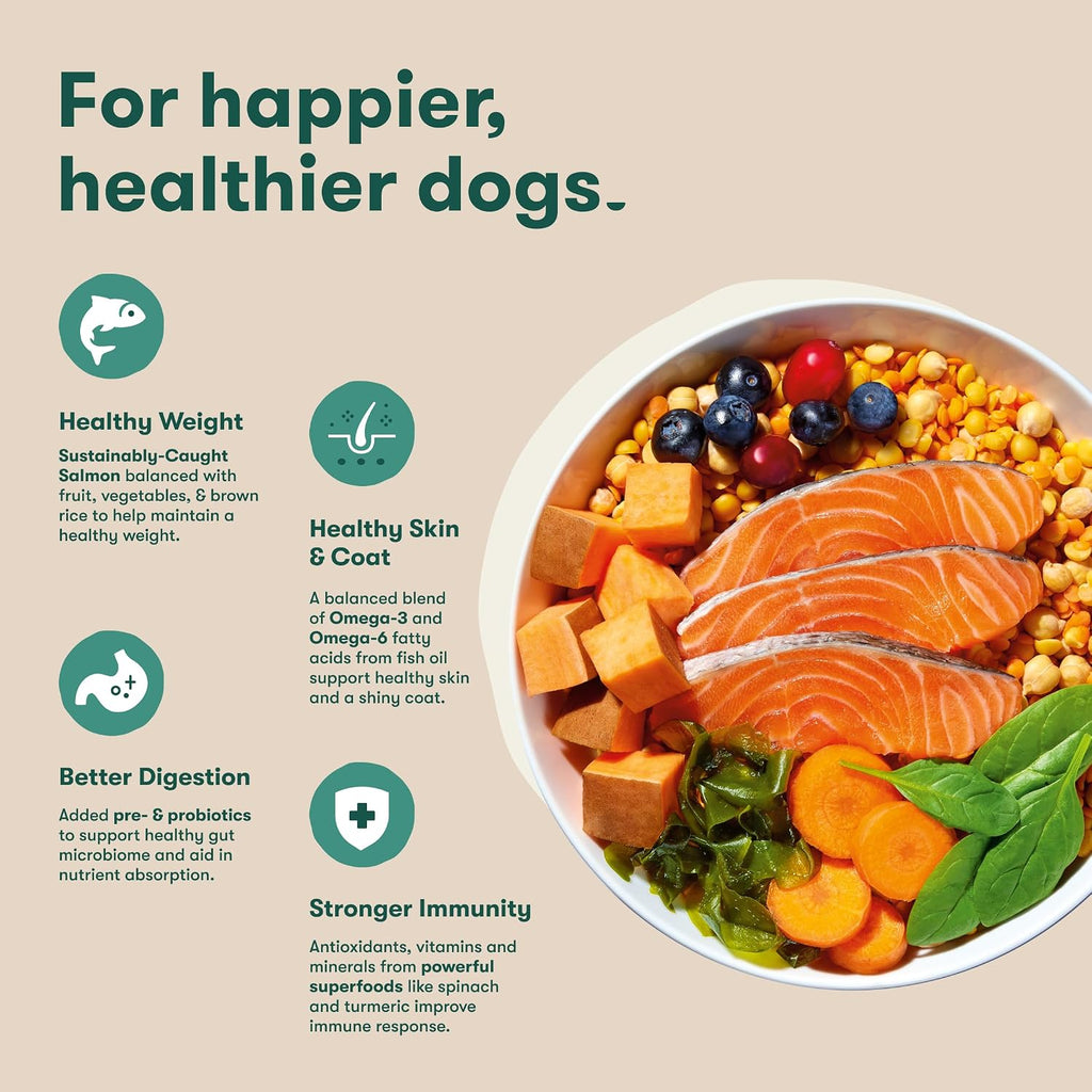 Grain Free Dry Dog Food, Small Breed - Real Salmon, 4lb