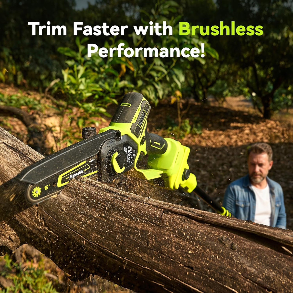 Electric Pole Saws for Tree Trimming, 8 Inch & 6 Inch Mini Chainsaw Cordless with Extension Pole, 16Ft Reach, 2x4.0Ah