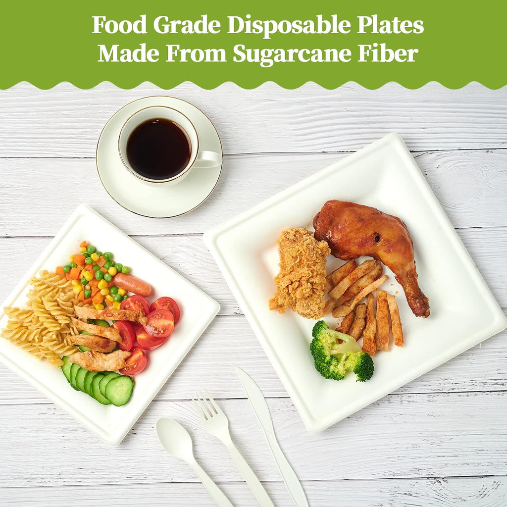 120 Pack Compostable Paper Plates Disposable, 10 inch and 8 inch