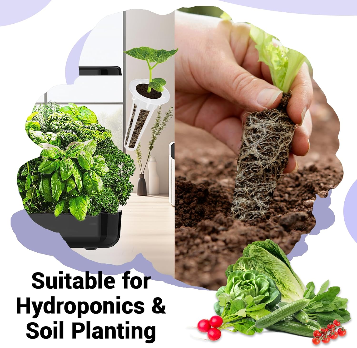Salad Seed Pods, Grow Anything Kit for All Hydroponics Growing Systems, 8 Pods with 600+ Seeds of Red Cherry Tomato