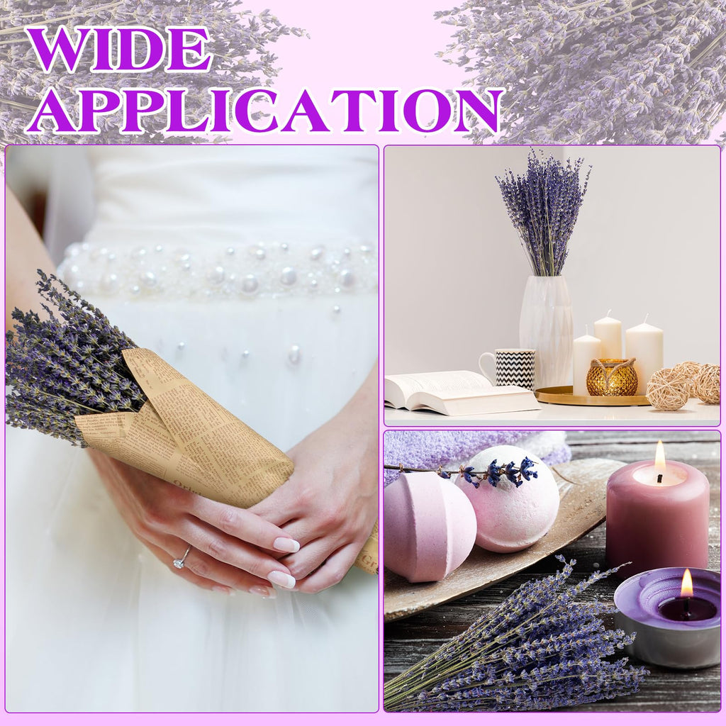 12 Pack Total 2280 Stems Dried Lavender Bundle Bulk