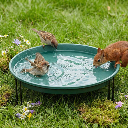 14.37'' Ground Bird Bath for Outside Large Bird Bath, Green