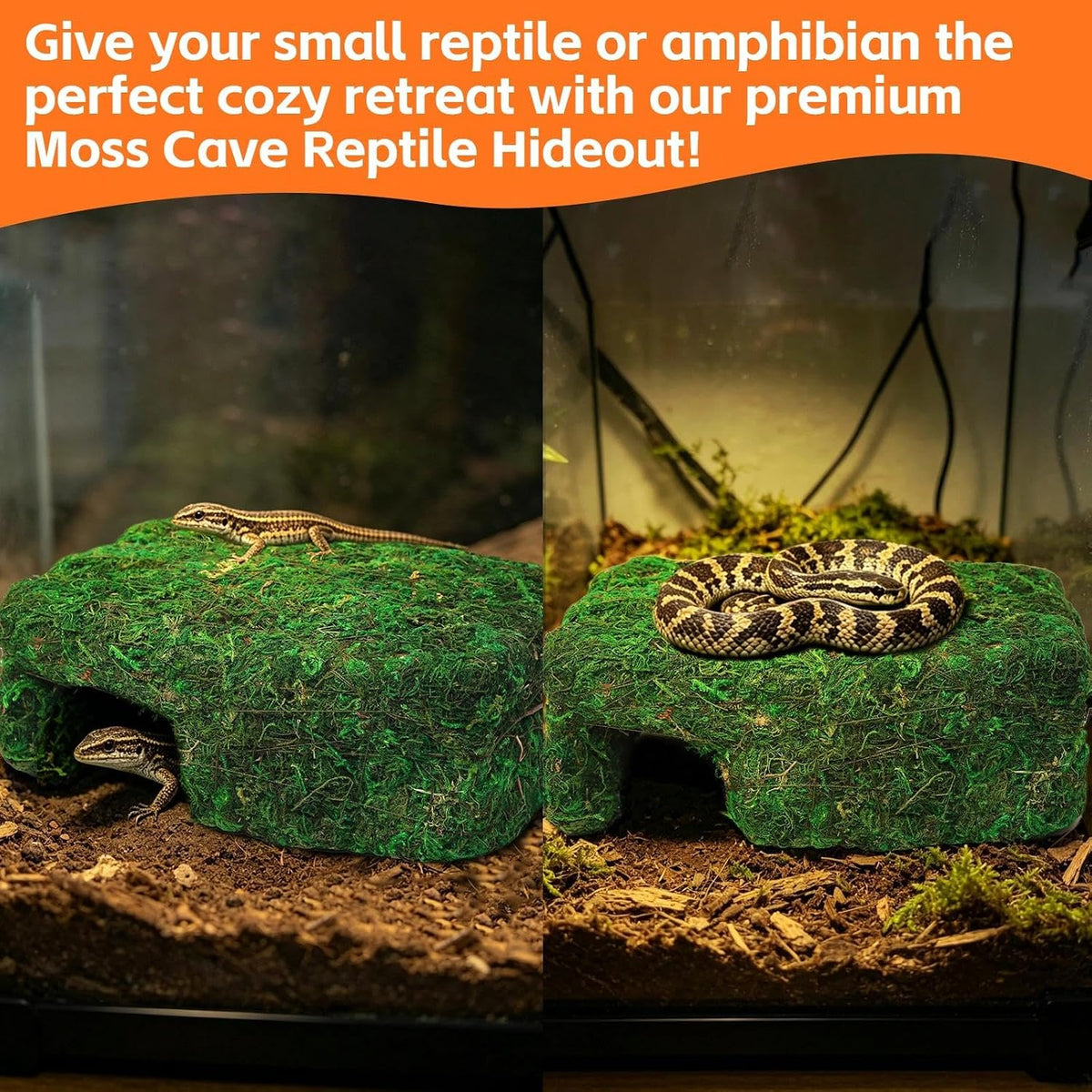 Small Green Reptiles Cave Hideout, Lizard Moss Hide