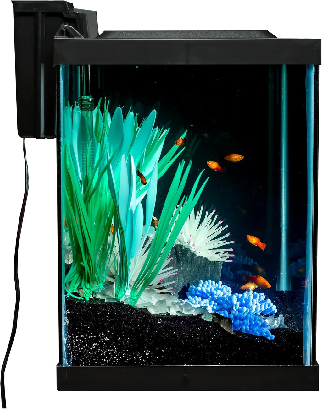 Color Complete 20 Gallon Fish Tank Kit for Freshwater, Saltwater Fish