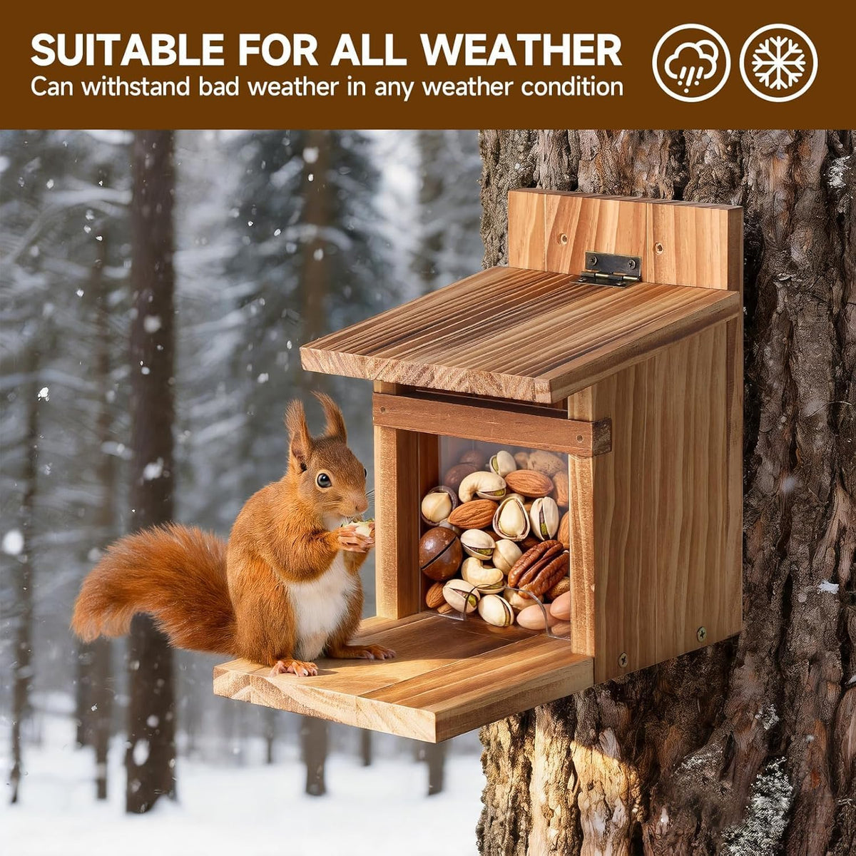 Squirrel Feeders for Outside, Durable Squirrel House for Outdoor - Chipmunk Feeder, Squirrel Food for Backyard