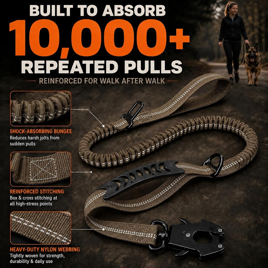 Bungee Dog Leash for Large Dogs: Protect Arm from Sudden Lunges on Walking