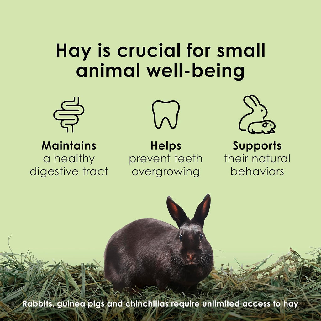 Timothy Hay, High Fiber for Rabbits, Guinea Pigs, 96 Ounces | Supports digestive health. Hand-selected rabbit hay.