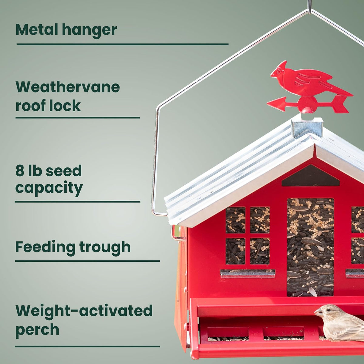 Squirrel-Be-Gone II Country Style Bird Feeder, 8 lb Seed Capacity