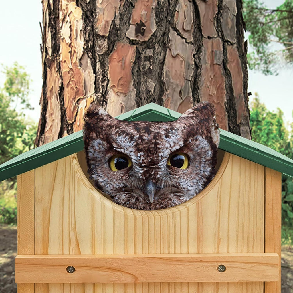 Owl House, 13" x 9" x 9" Owl Nesting Box for Outside with Mounting Screws and Wood Shavings, Cedar Screech Owl House
