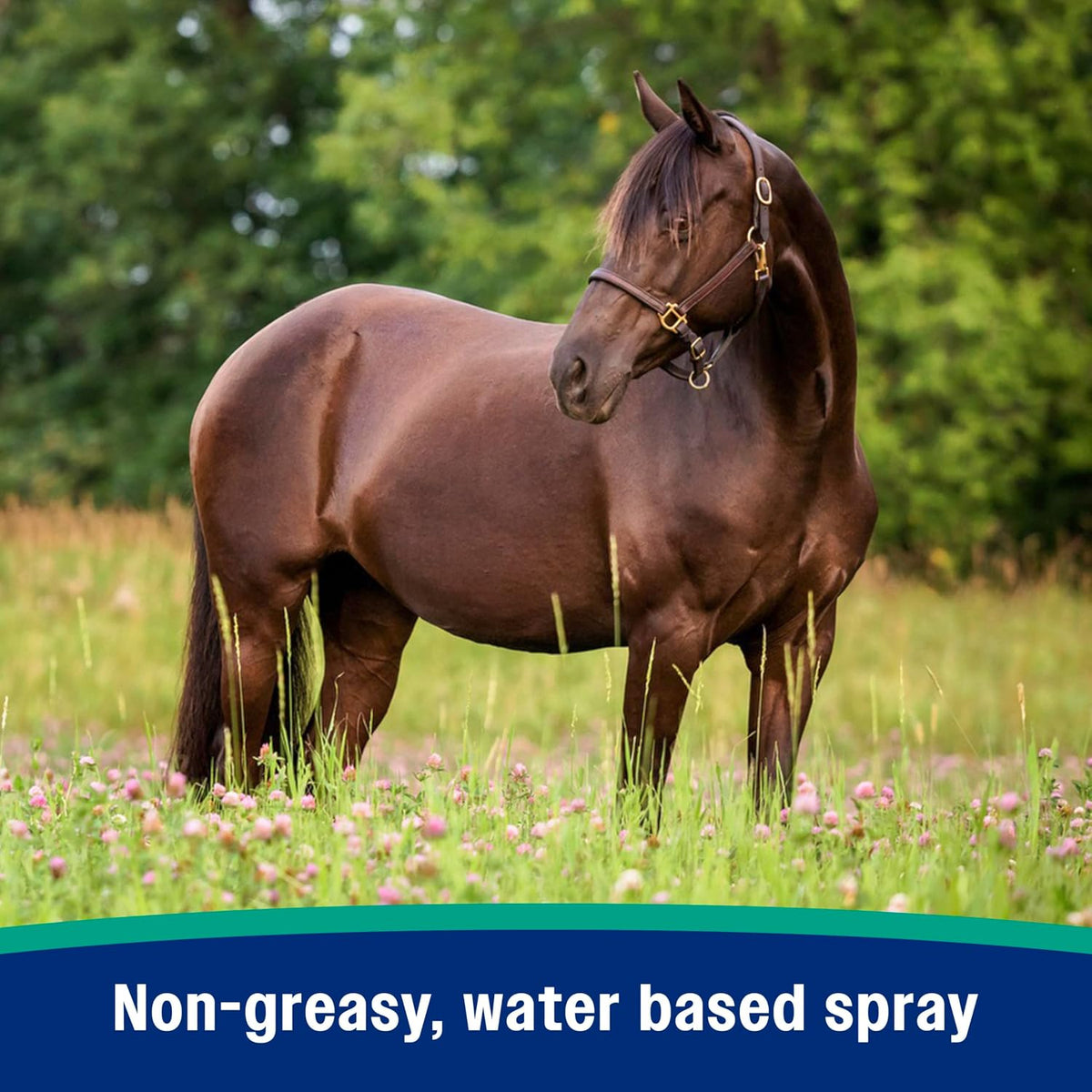 Nature’s Defense Botanical Fly Repellent Spray for Horses, 32 oz