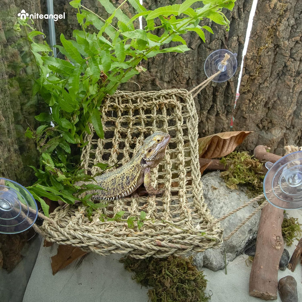 Bearded Dragon Seagrass Hammock: Rectangle 16"x 8" & Suction Cups