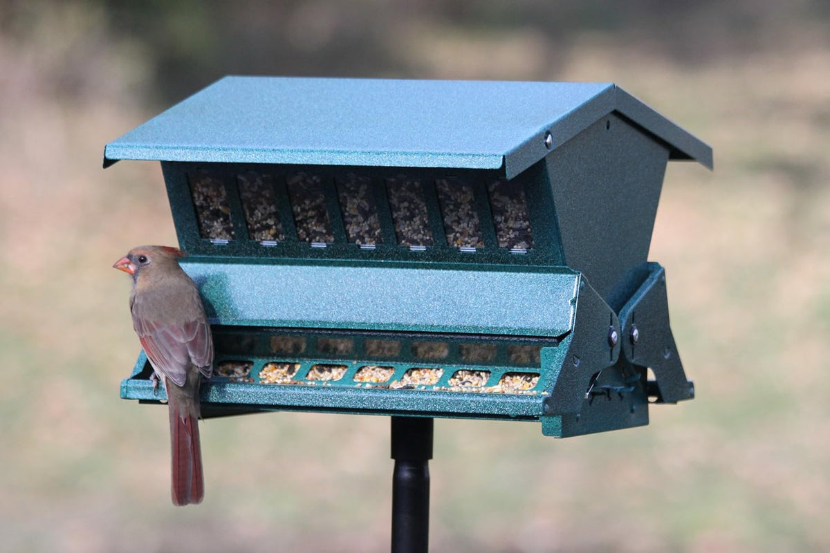 Absolute II Squirrel Resistant Bird Feeder Model 7536, 12 lbs, Model:301045