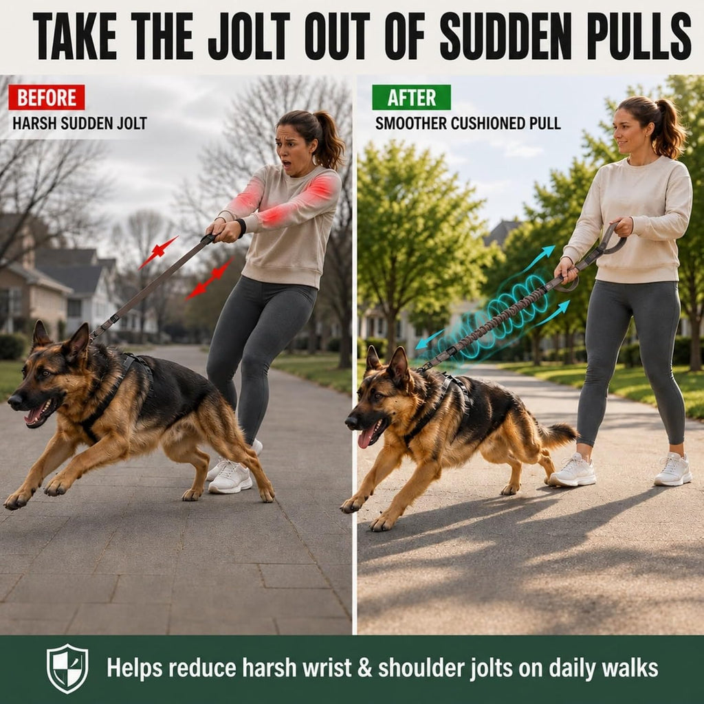 Bungee Dog Leash for Large Dogs: Protect Arm from Sudden Lunges on Walking