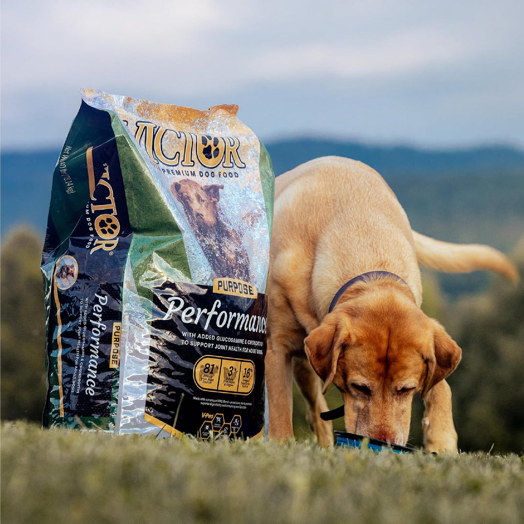 Performance Dry Dog Food - Beef, Chicken & Pork Meal, 40 lb