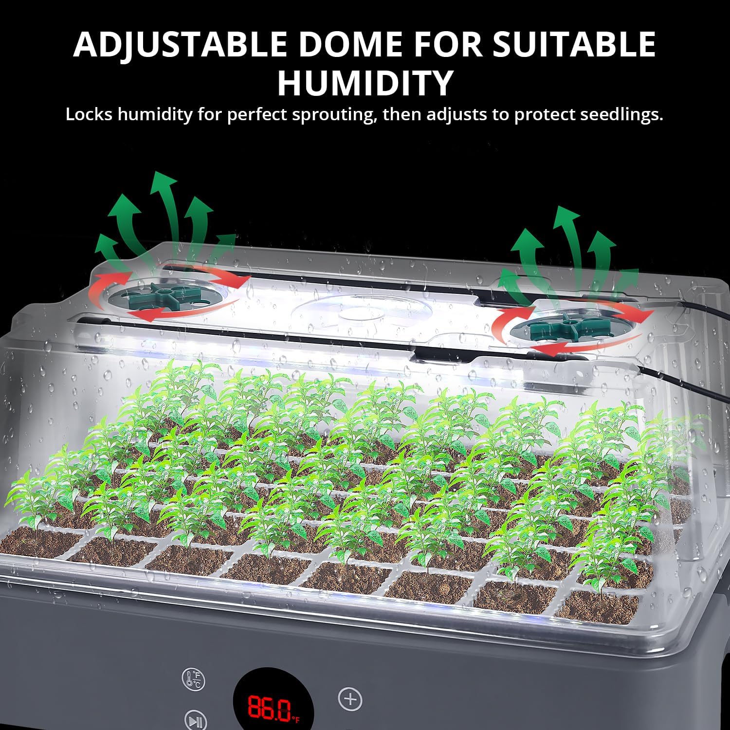 Seed Starter Tray with Grow Light, Heated Seed Starter Kit | Temperature Display, Humidity Dome Germination Kit