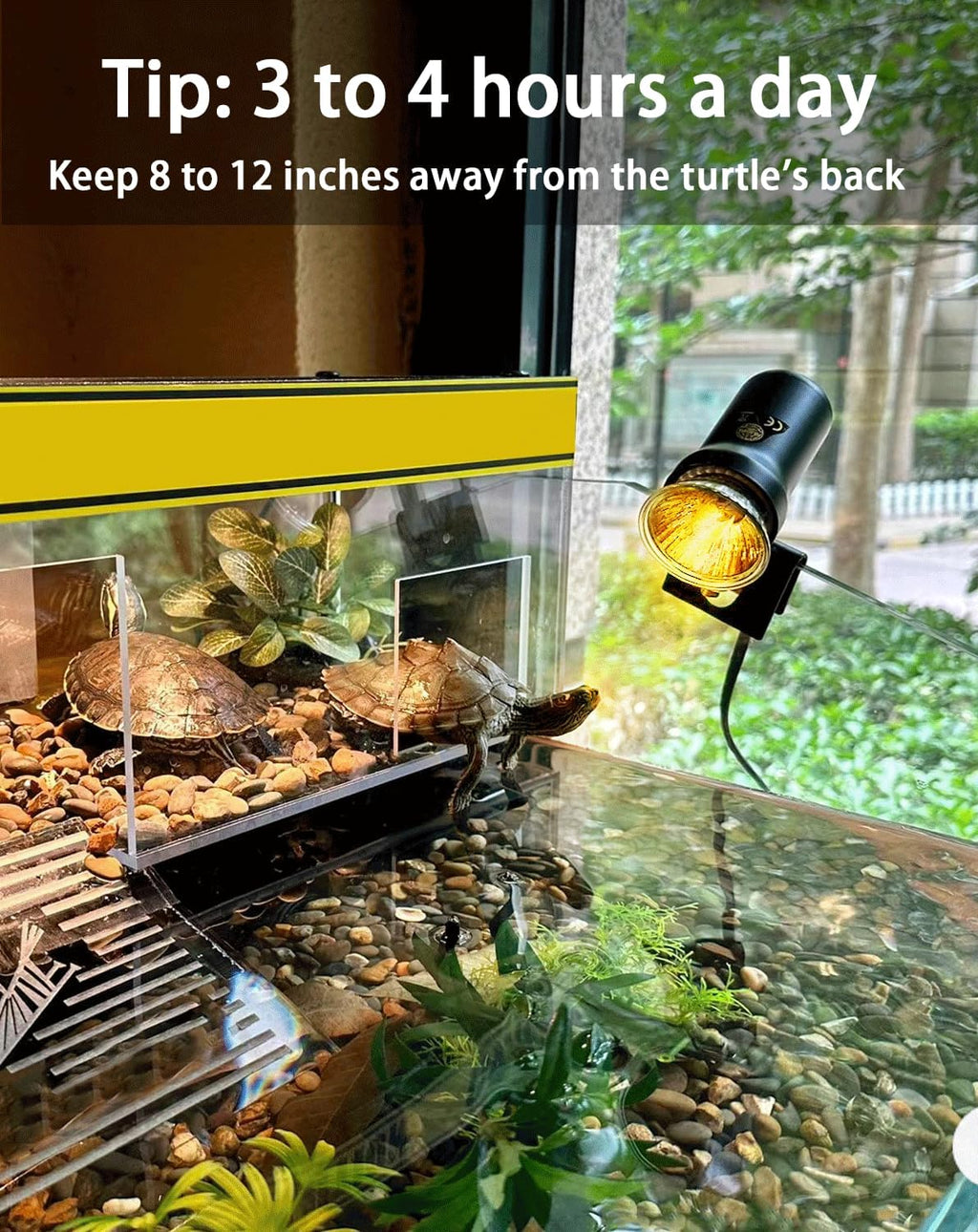 Turtle Reptile Heat Lamp Bulb 50W 120V,4Pcs Heat Bulb | UVA Reptile Light for Turtle Tank,Fits Reptiles and Amphibian