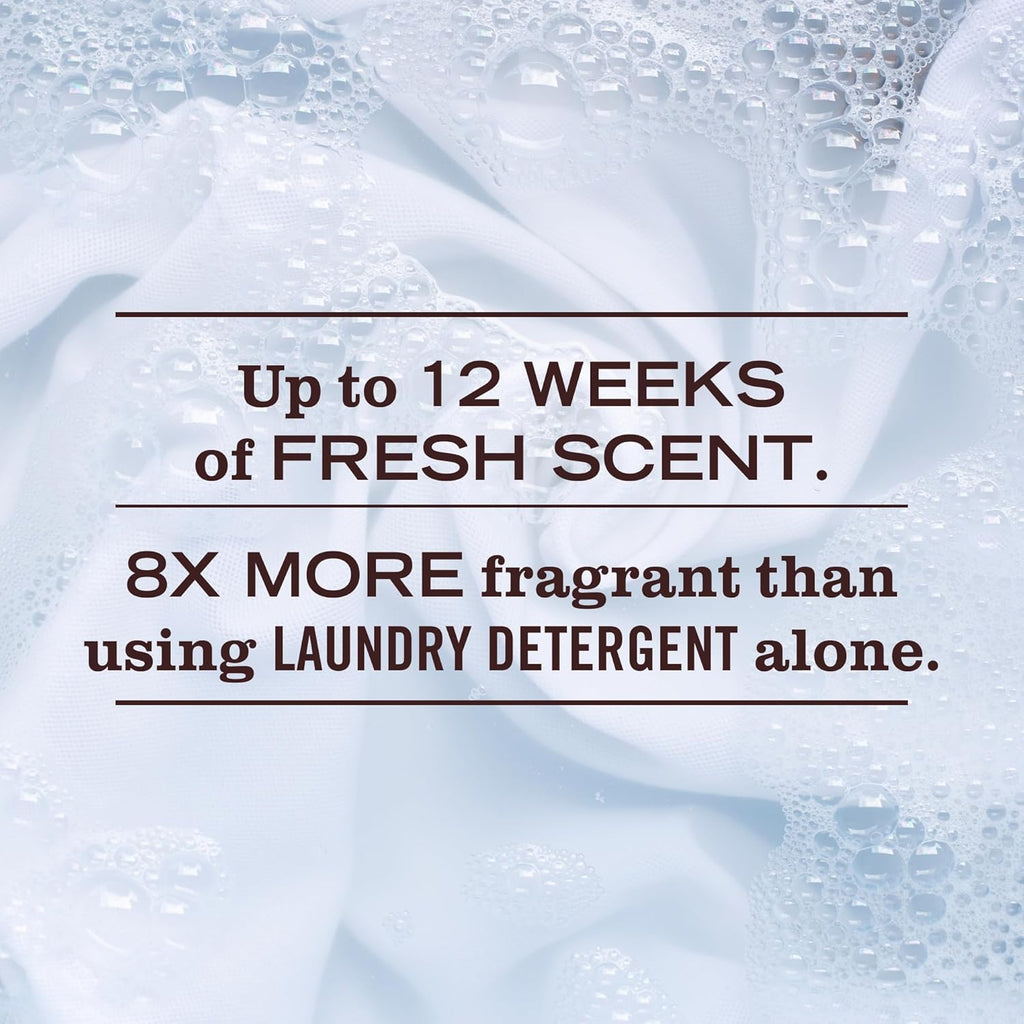 Clean Day Laundry Scent Boosters, Rain Water Scent, 18oz