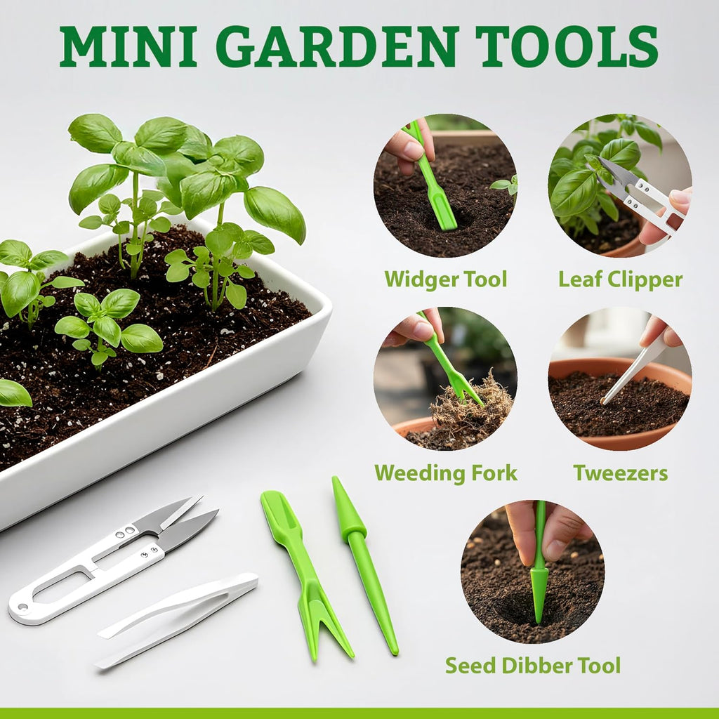 Culinary Vegetable & Herb Seeds Variety Pack - 30 Heirloom Non-GMO Garden Seeds for Planting, Seed Kit with Tools