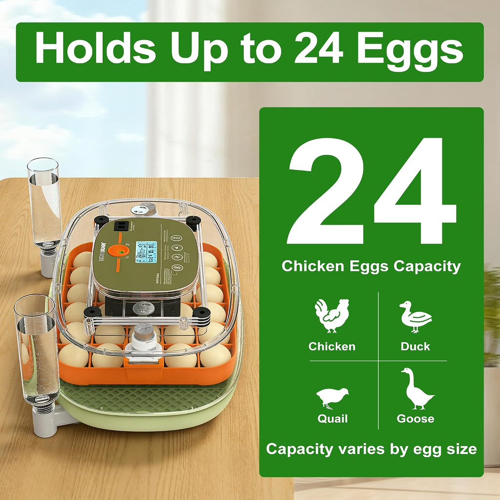 24-Egg Digital Incubator - Automatic Temperature and Humidity Control, LED Display, Automatic Rotation, External