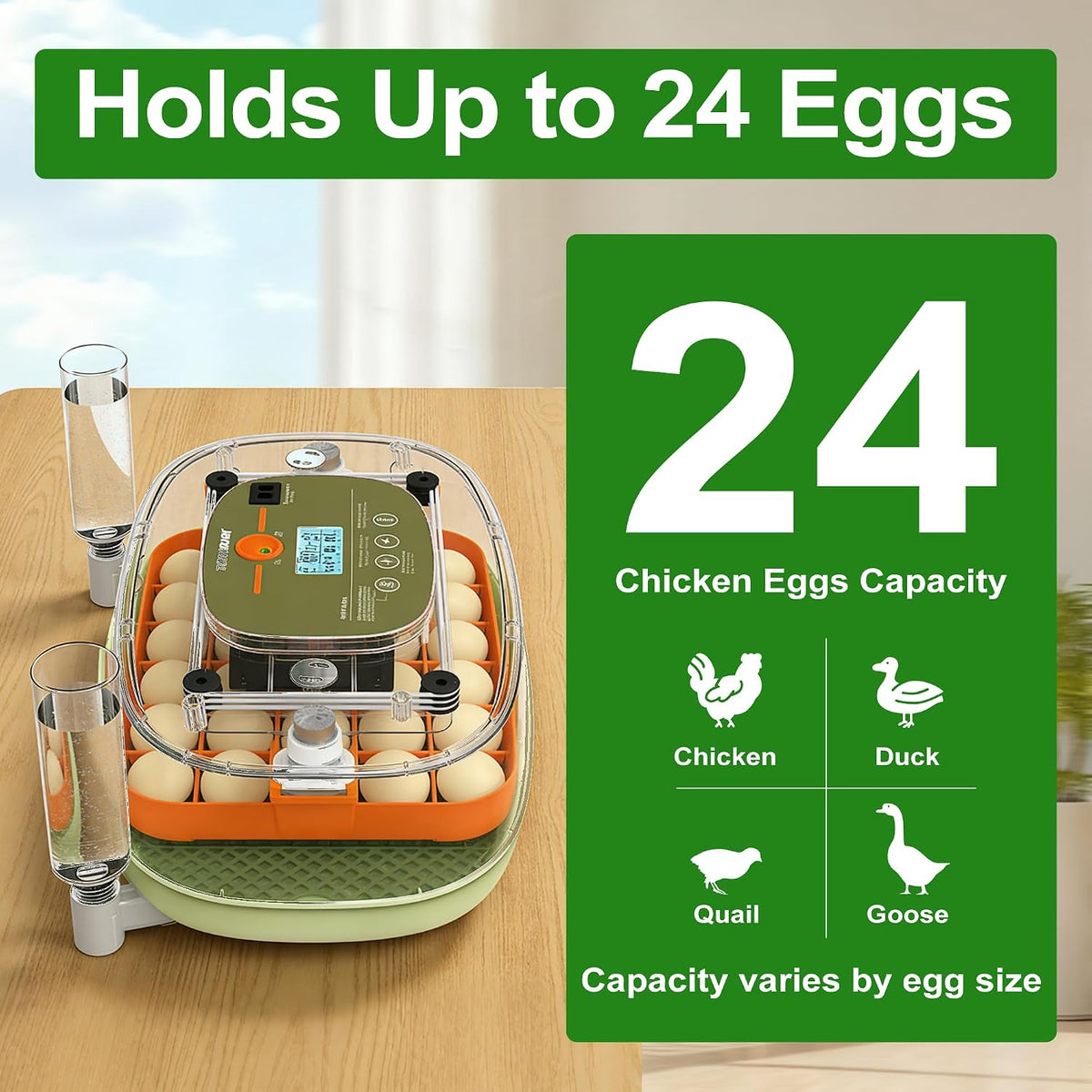 24-Egg Digital Incubator - Automatic Temperature and Humidity Control, LED Display, Automatic Rotation, External